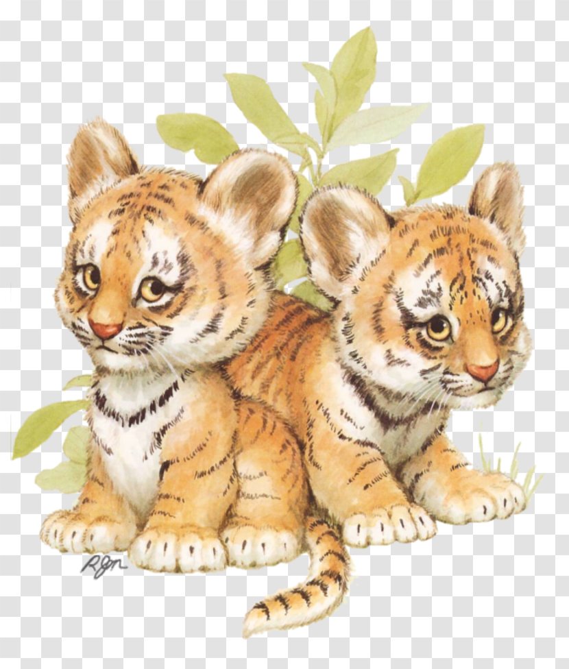Baby Tigers Animal Illustrations Siberian Husky Clip Art - Terrestrial - Tiger Transparent PNG