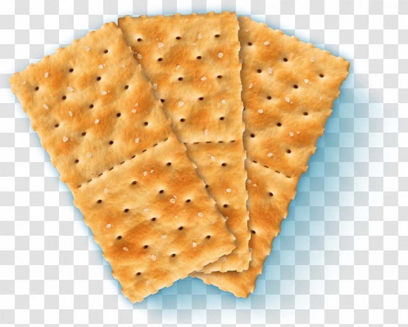 Saltine Cracker Graham Yeast - Snack - Salt Transparent PNG