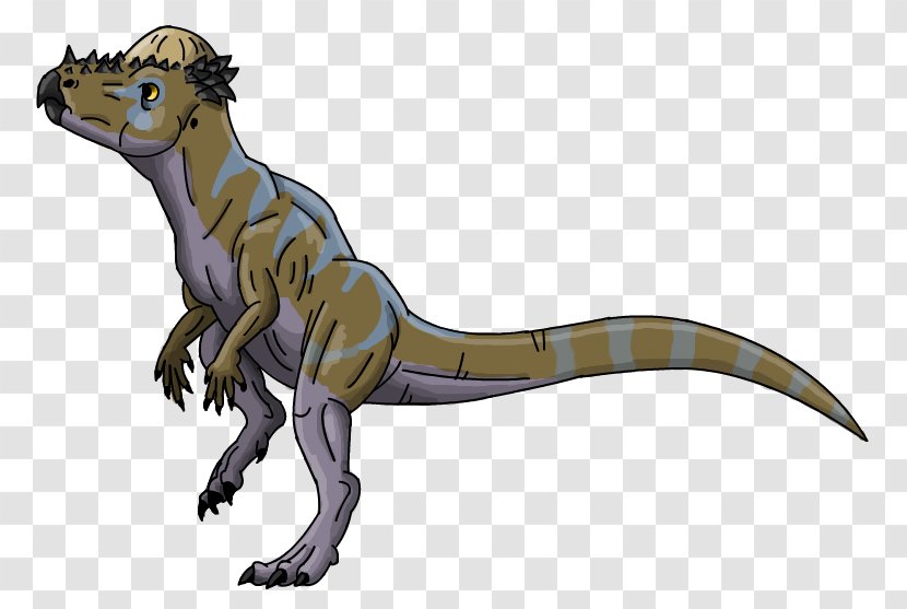 Tyrannosaurus Velociraptor Terrestrial Animal Carnivora - Carnivoran Transparent PNG