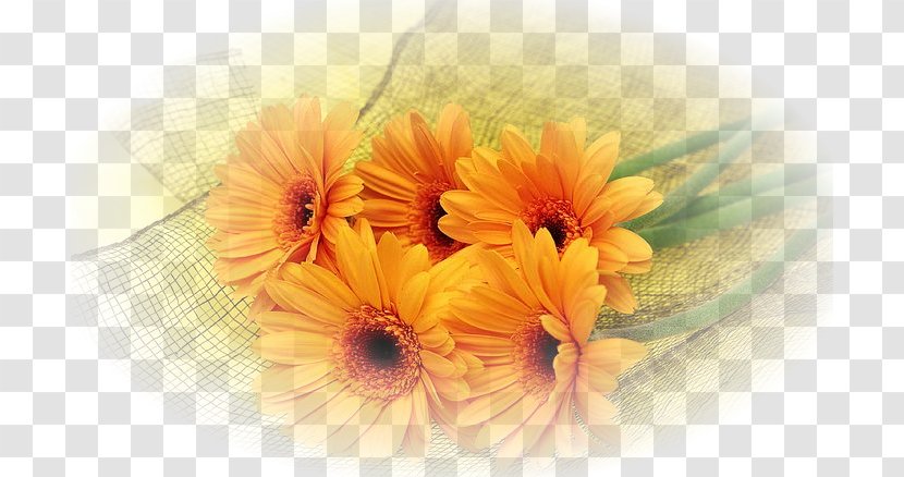 Hotel Image Resolution High-definition Television Wallpaper - Yellow - Elegant Chrysanthemum Transparent PNG