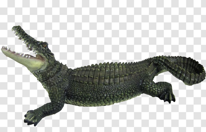 Nile Crocodile Clip - Terrestrial Animal Transparent PNG