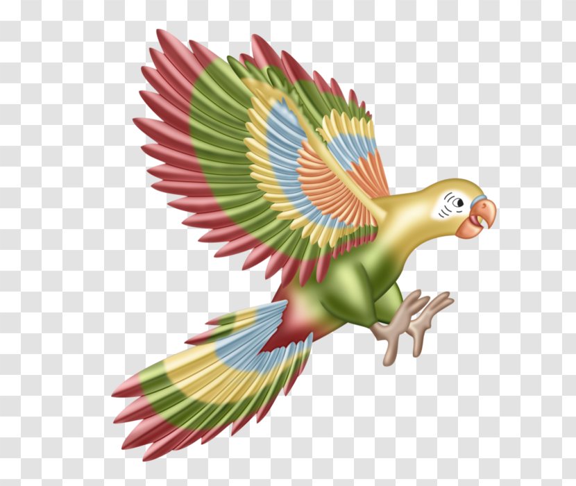 Macaw Parrot Lovebird Beak - Feather Transparent PNG