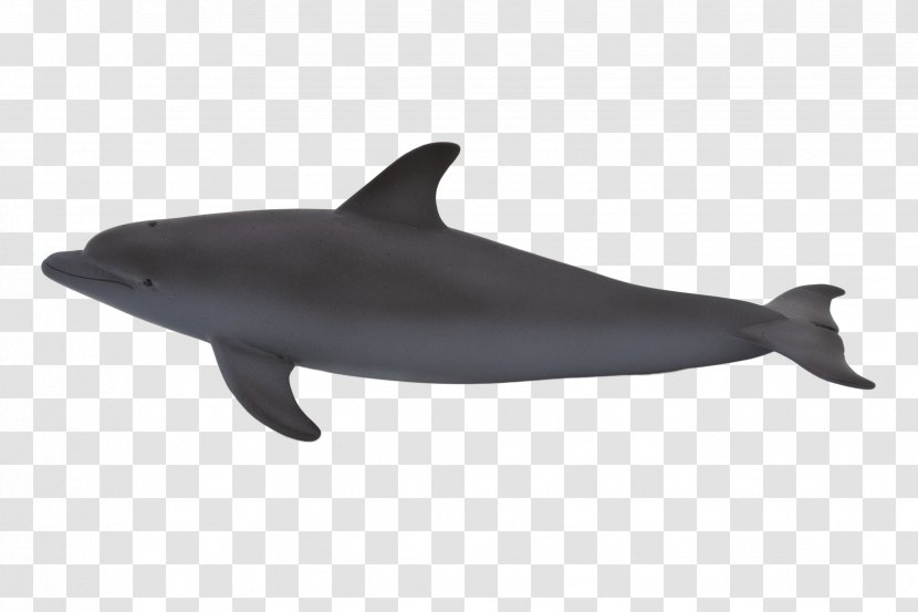 Common Bottlenose Dolphin Animal Humpback Whale Model Figure Transparent PNG