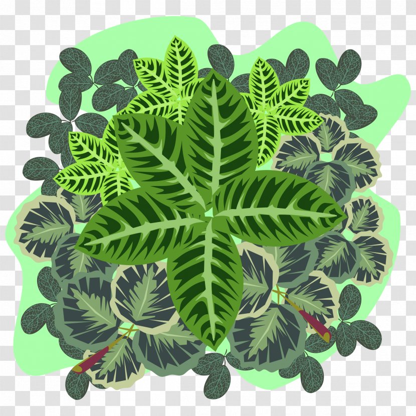 Plant Organism Leaf - Four Clover Transparent PNG
