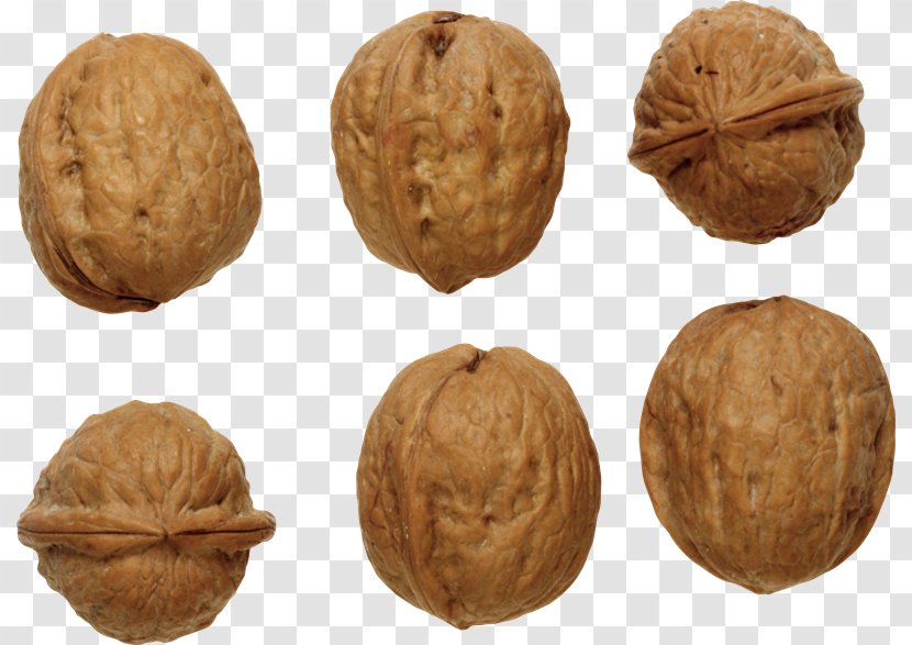 English Walnut Clip Art - Nuts Seeds - Nuez Transparent PNG