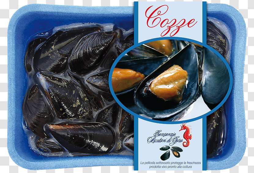 Mussel Clam Oyster Recipe - Animal Source Foods - Clams Oysters Mussels And Scallops Transparent PNG