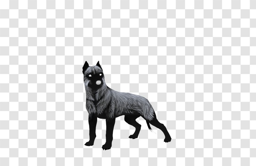 Dog Breed Schipperke American Pit Bull Terrier - Puppy - Silver Fox Transparent PNG