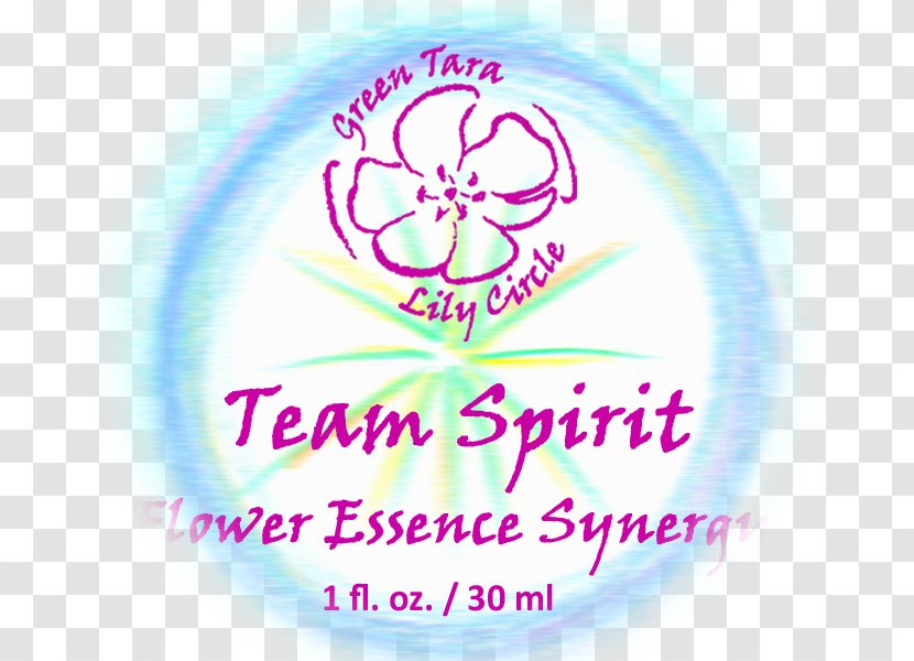 Spiritual Pearls For Enlightened Living Paperback Logo Book Font - Team Spirit Transparent PNG