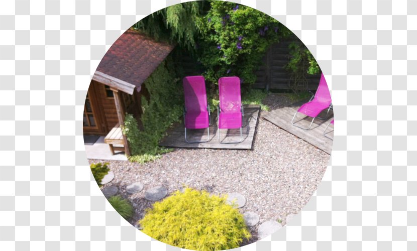 Hille, Germany Espelkamp Lifestyle Lübbecke Shrub Purple - Grass Transparent PNG