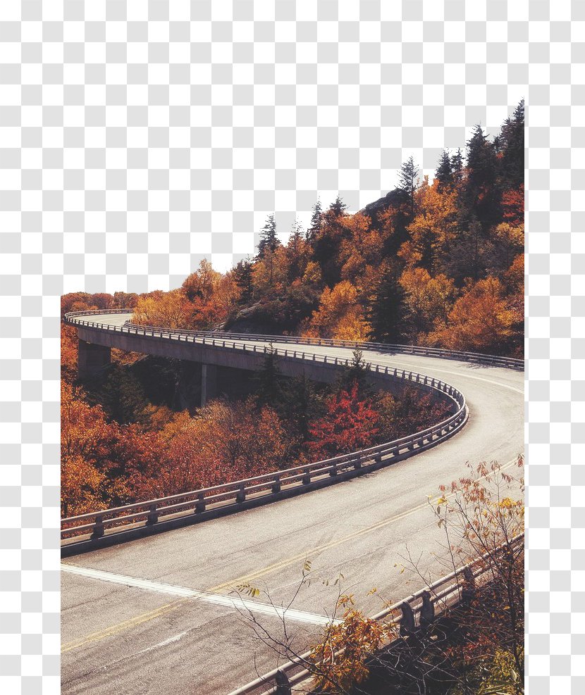 Cider Doughnut Apple Margot Tenenbaum Autumn Wallpaper - Infrastructure - Curved Mountain Road Transparent PNG