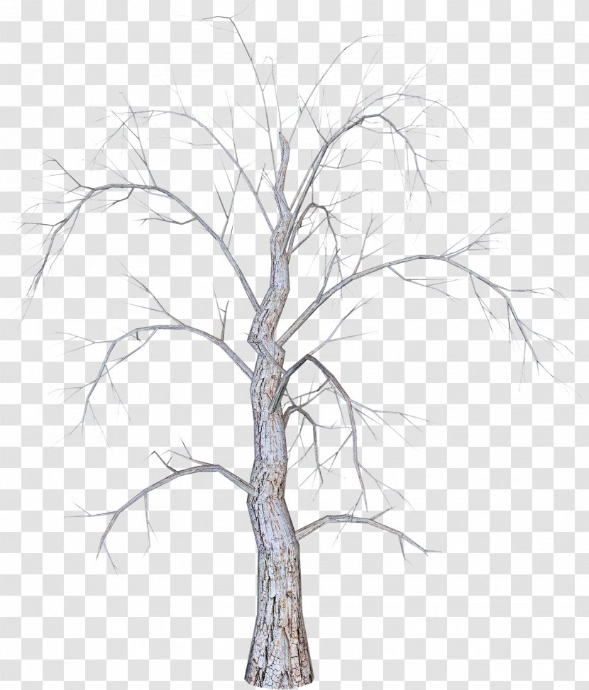 Twig Christmas Tree - Branch - Winter Dead Trees Transparent PNG