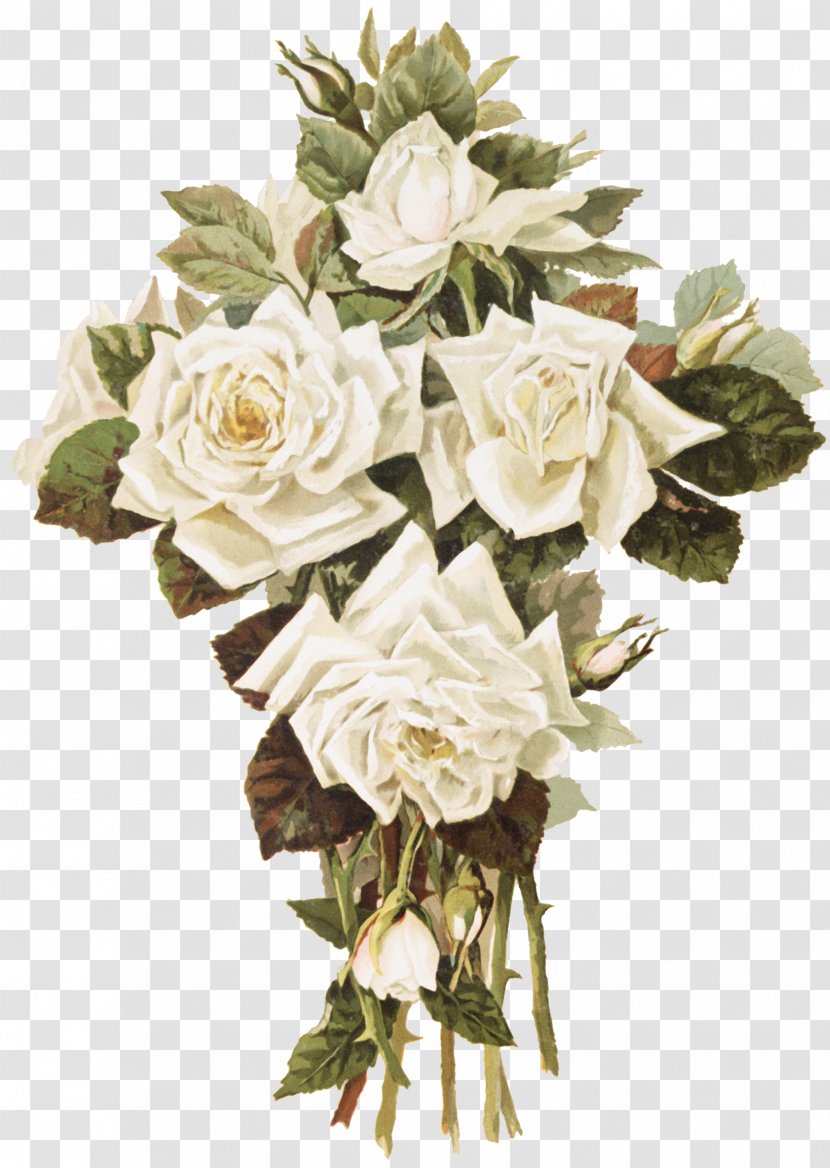 Garden Roses Cut Flowers Floral Design Flower Bouquet - Art Transparent PNG