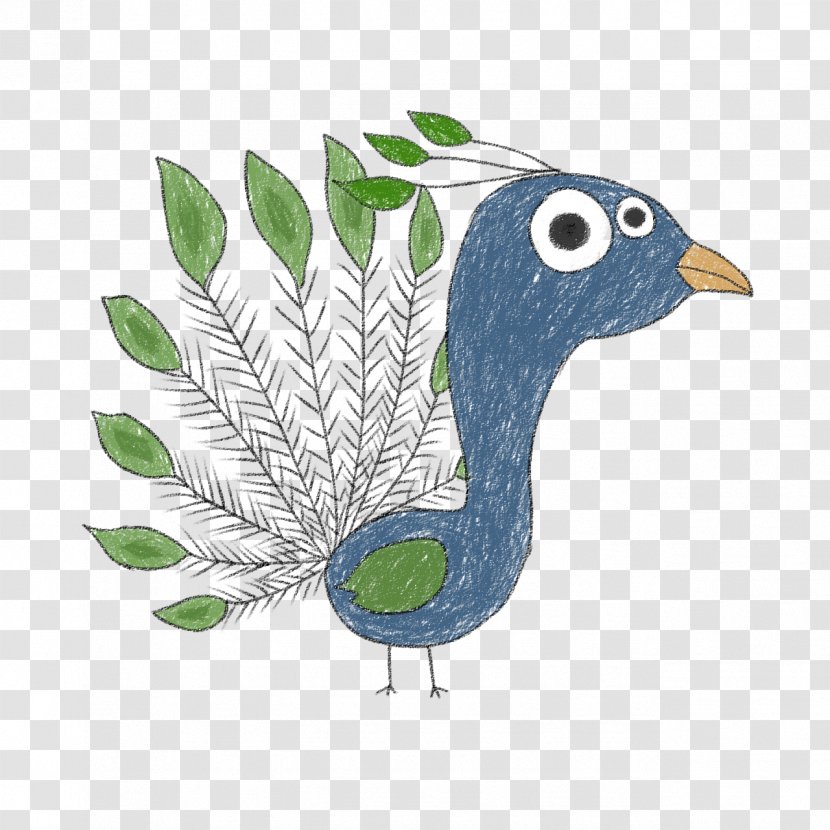 Chicken Landfowl Illustration Beak Feather - Bird - Zoo Gif Transparent PNG