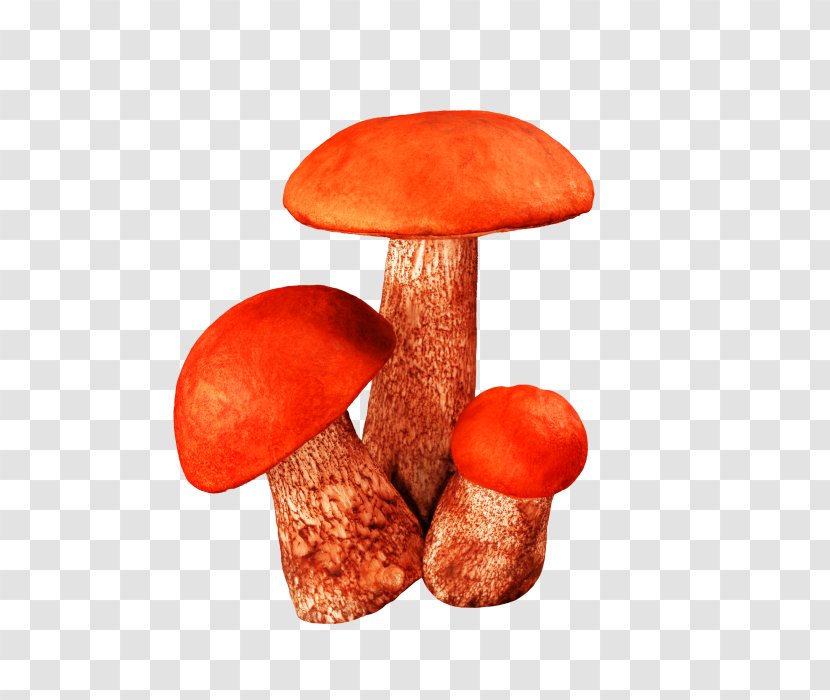 Fungus Raster Graphics Mushroom Clip Art - Pictures Transparent PNG