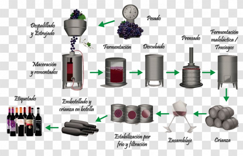 Red Wine White Fermentation In Winemaking - Branching Transparent PNG