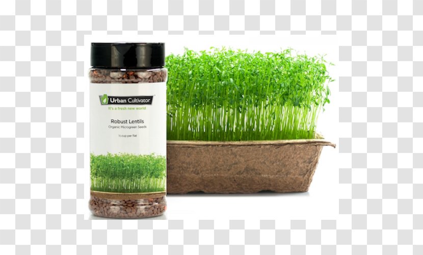 Urban Cultivator Seed Gardening - Commodity - Lentils Transparent PNG