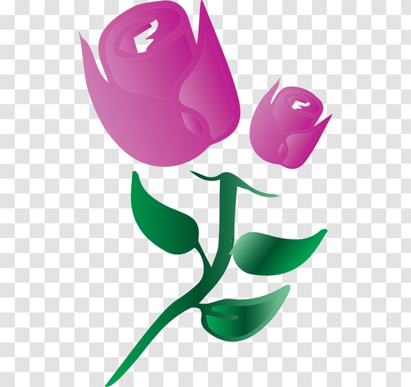 Clip Art Royalty-free Tulip Public Domain Royalty Payment - Magenta - Flower 1 Transparent PNG