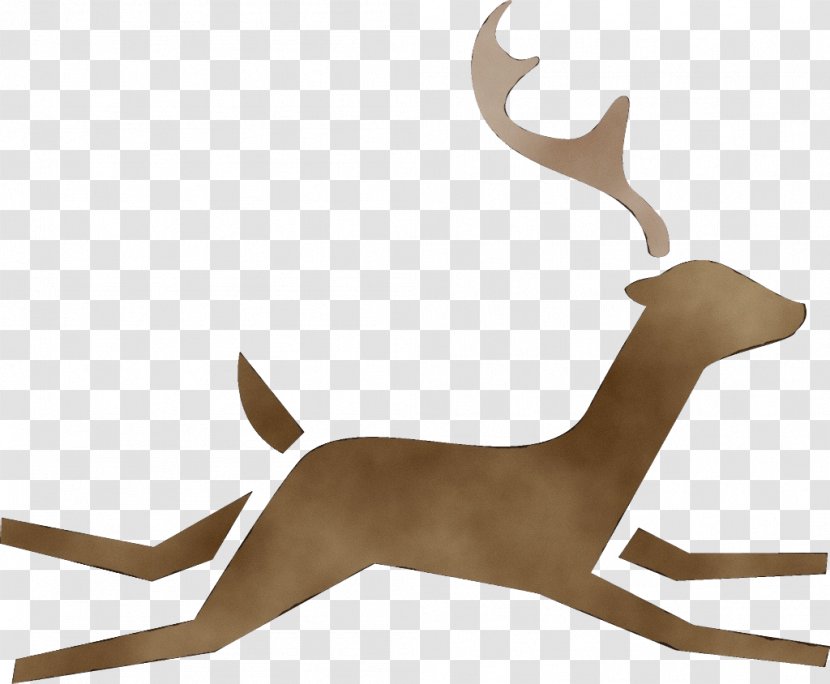 Reindeer - Gazelle - Fawn Transparent PNG