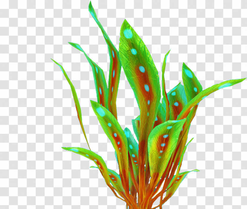 Aquarium Decor Plant Grass Leaf Terrestrial Plant Transparent PNG