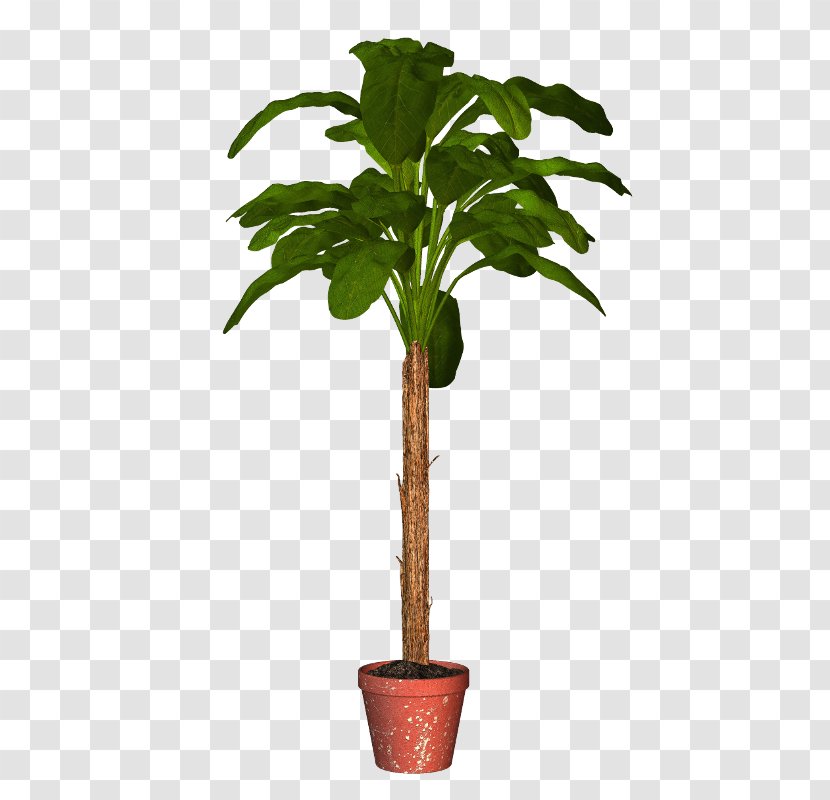 Palm Trees Flowerpot Houseplant Plants - Herbaceous Plant Transparent PNG