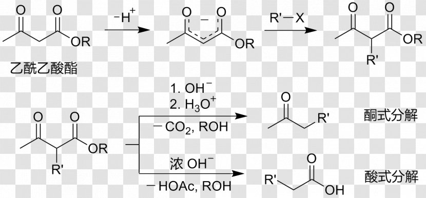 Acetoacetic Ester Synthesis Ethyl Acetoacetate Acid Acetate - Chemical Reaction Transparent PNG