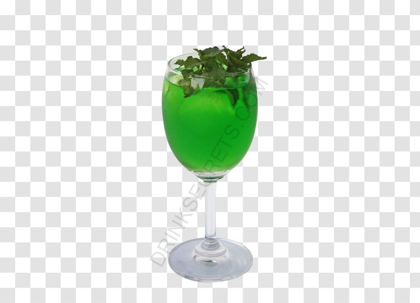 Cocktail Garnish Liquor Pastis Liqueur - Southern Smilax Greenery Transparent PNG