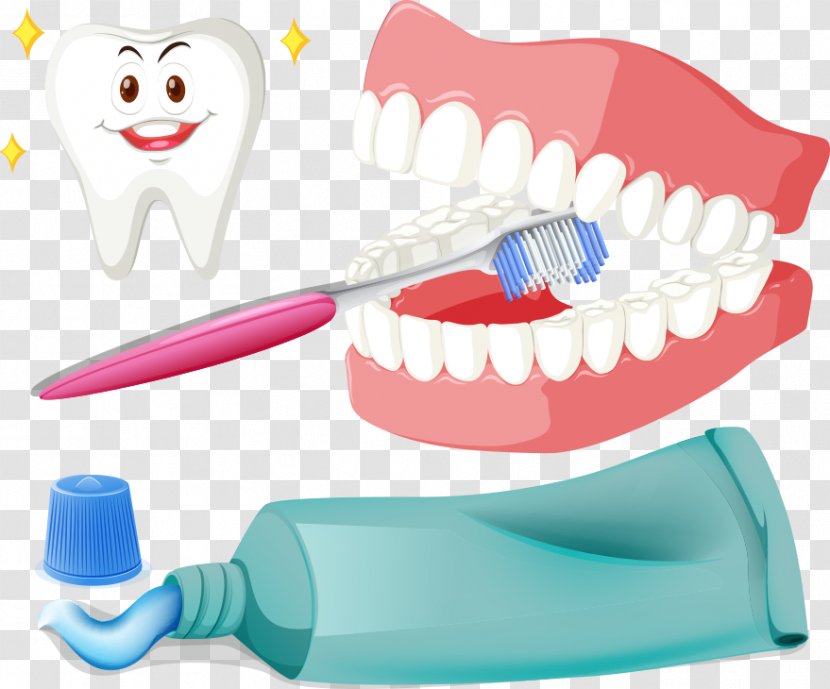 Tooth Brushing Toothbrush Illustration - Teeth And Vector Transparent PNG
