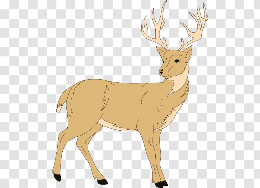 White-tailed Deer Moose Clip Art Openclipart - Mammal Transparent PNG