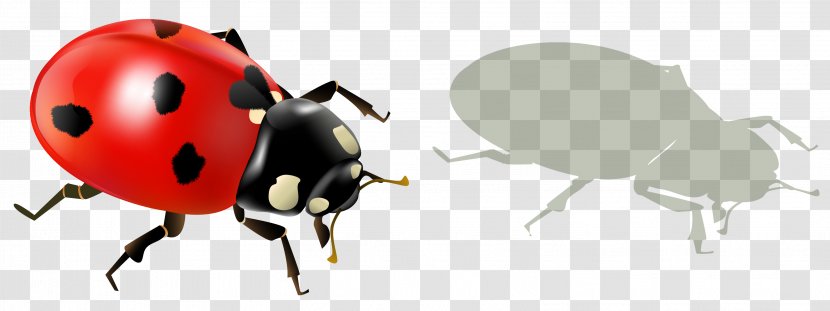Insect Ladybird Minecraft Animal - Ladybug AndShadow Clipart Picture Transparent PNG