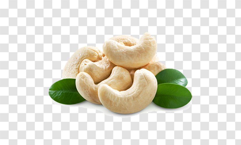 Cashew Nuts Peanut Dried Fruit - Ingredient - Walnut Transparent PNG