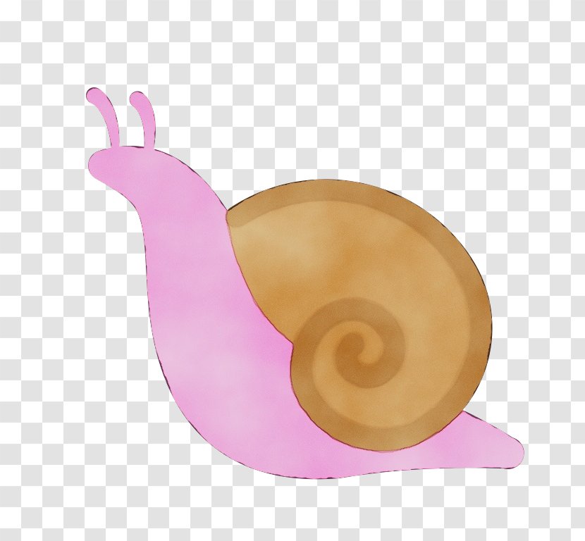 Snail Snails And Slugs Pink Sea - Paint Transparent PNG