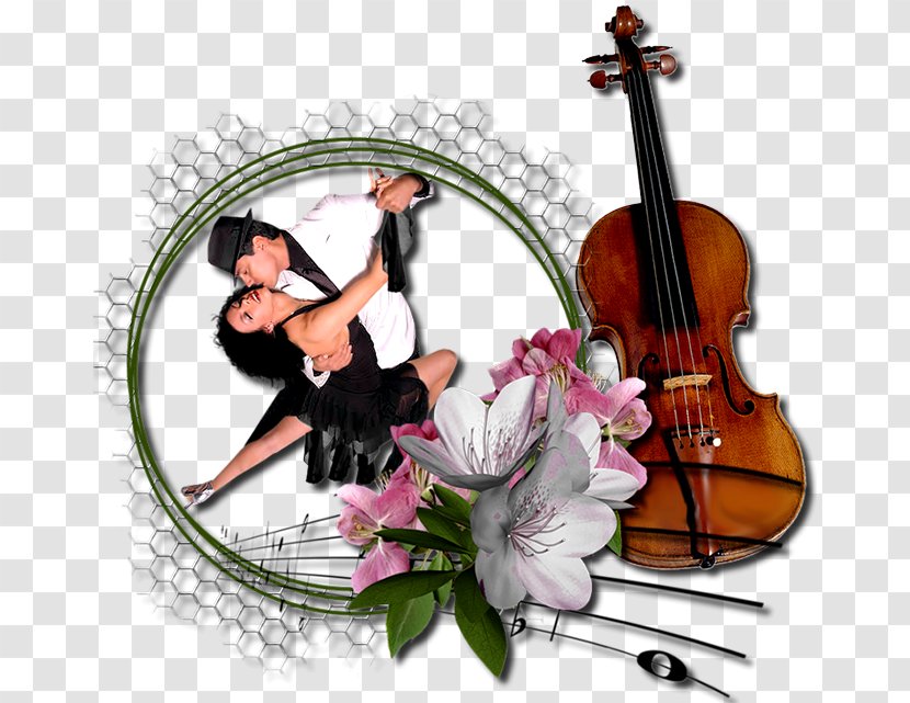 Violone Violin Viola Cello Double Bass - Cartoon Transparent PNG