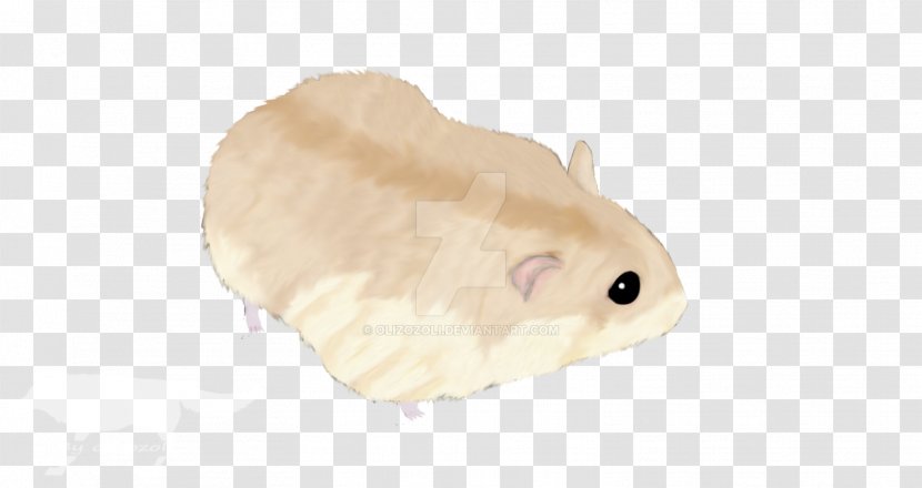 Rodent Hamster Mouse Rat Murids - Animal Figure - Toffees Transparent PNG