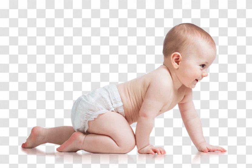 Crawling Infant Child Stock Photography Boy - Tree Transparent PNG