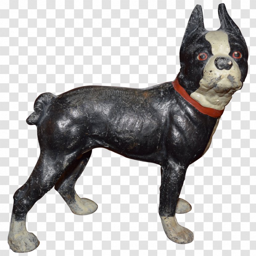 Boston Terrier Dog Breed Non-sporting Group (dog) Snout Transparent PNG