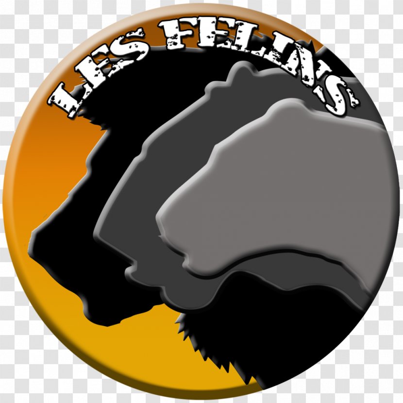 Felidae Logo Brand Text Font - Edificiu - Animal Transparent PNG