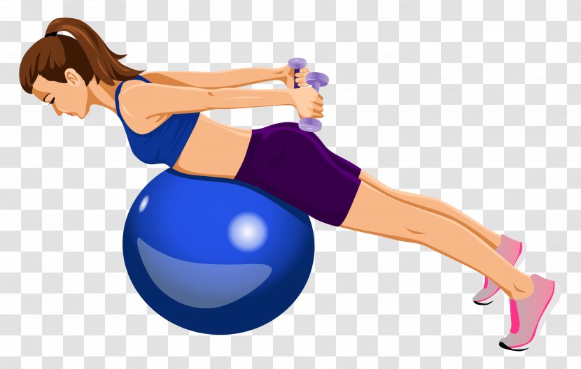 Exercise Balls Yoga & Pilates Mats Medicine - Frame - Belly Fat Transparent PNG