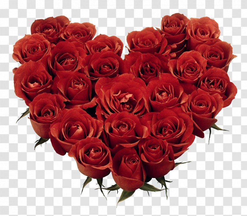 Rose Desktop Wallpaper Clip Art - Floribunda Transparent PNG