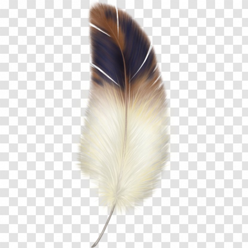 Feather Clip Art - Lossless Compression Transparent PNG