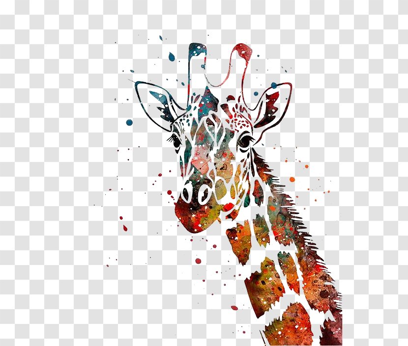 Giraffe Watercolor Painting Canvas Print Art - Painted Transparent PNG