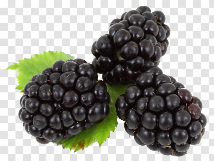 Blackberry Fruit - Frutti Di Bosco Transparent PNG