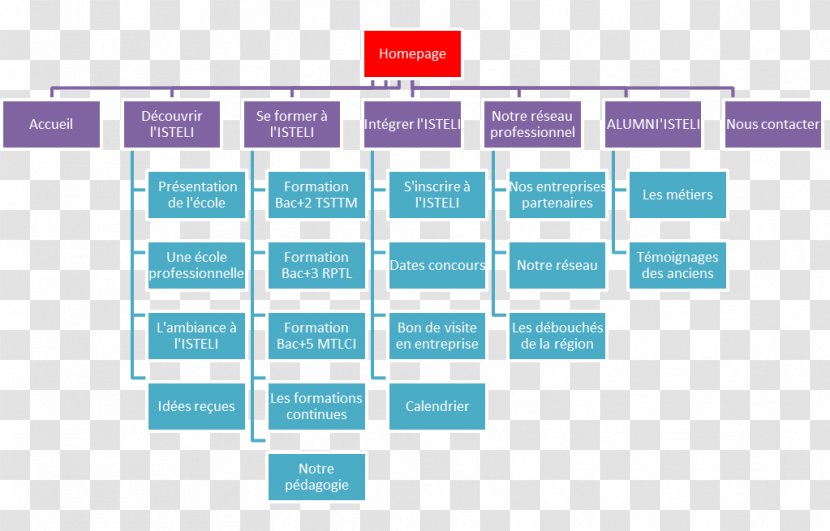 Organizational Chart Business Structure - Diagram Transparent PNG