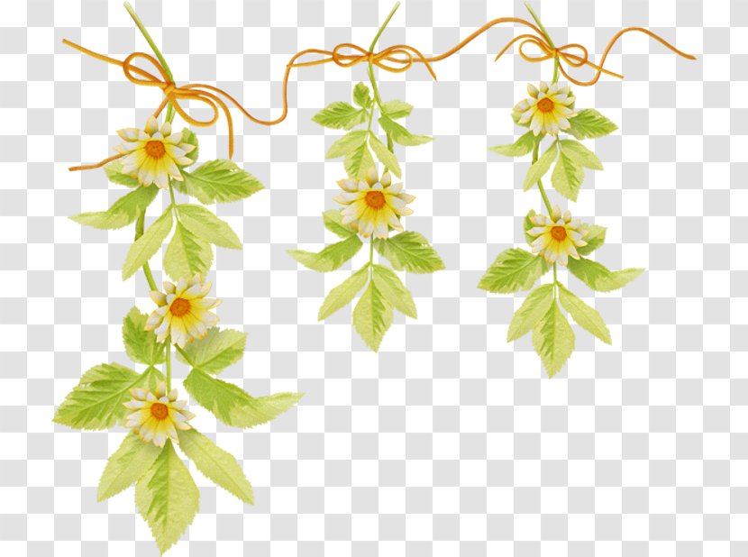 Flower Garland Garden Roses Clip Art - Petal Transparent PNG