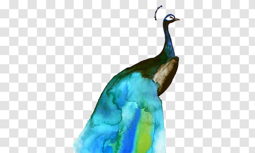 Bird Watercolor Painting Paper Illustration - Turquoise - Blue Peacock Transparent PNG