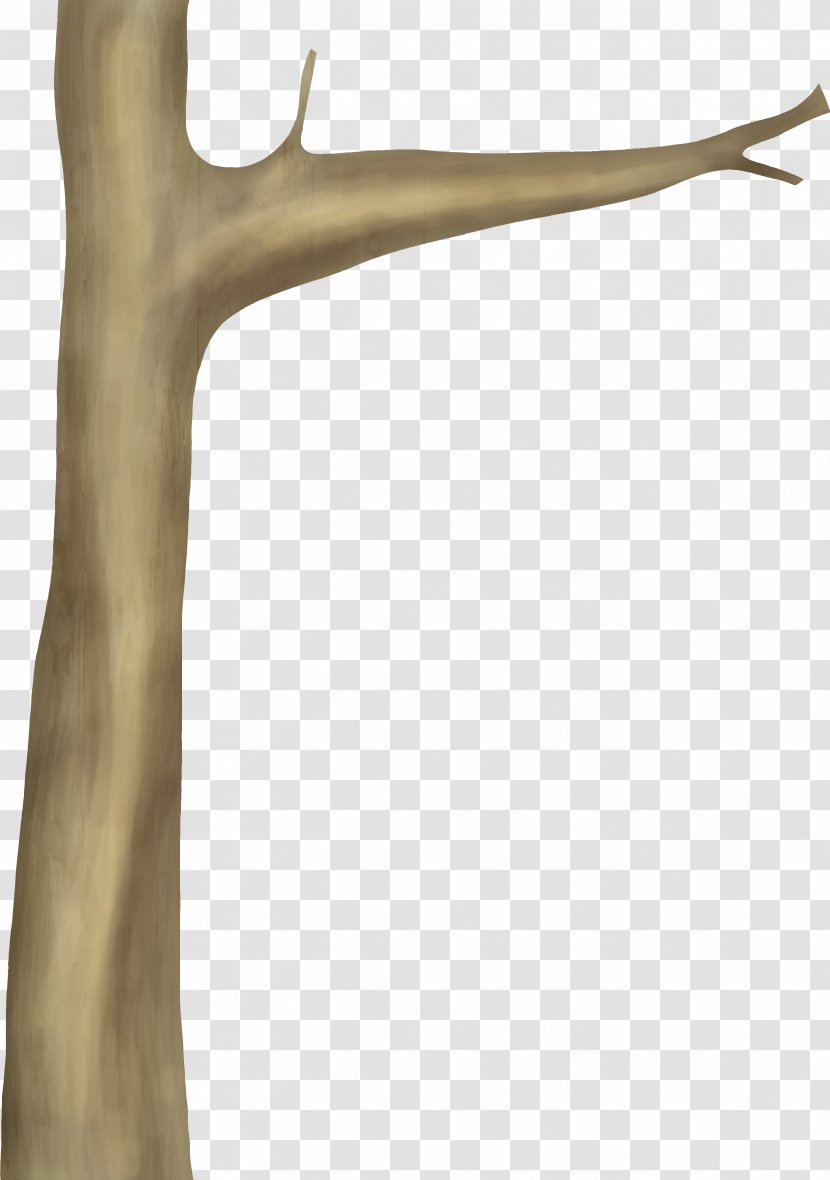 Wood Branch - Tree - Joint Transparent PNG