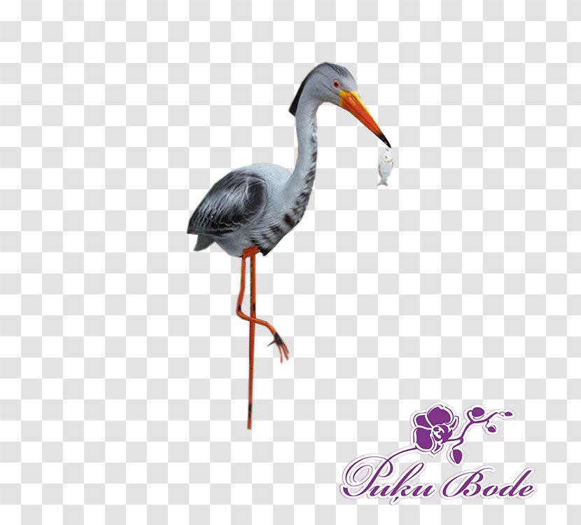 Stork Crane Bird Beak Transparent PNG