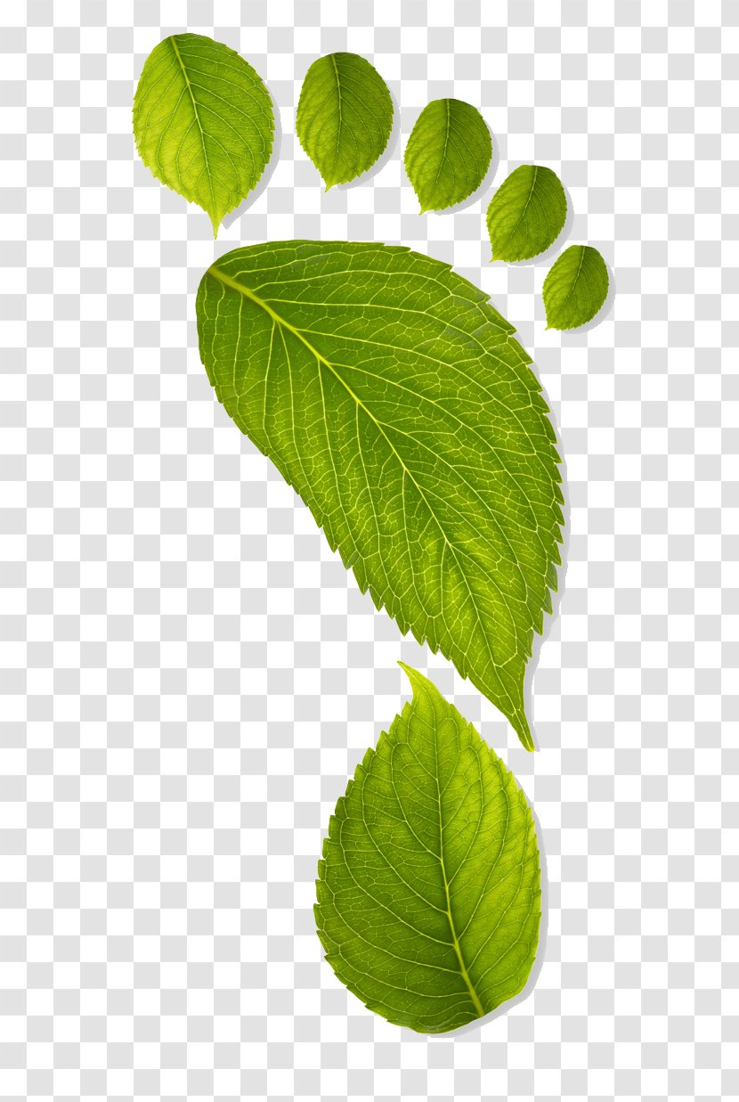 Earth Environmentally Friendly Carbon Footprint Sustainability Green - Pollution - Leaf Watercolor Transparent PNG