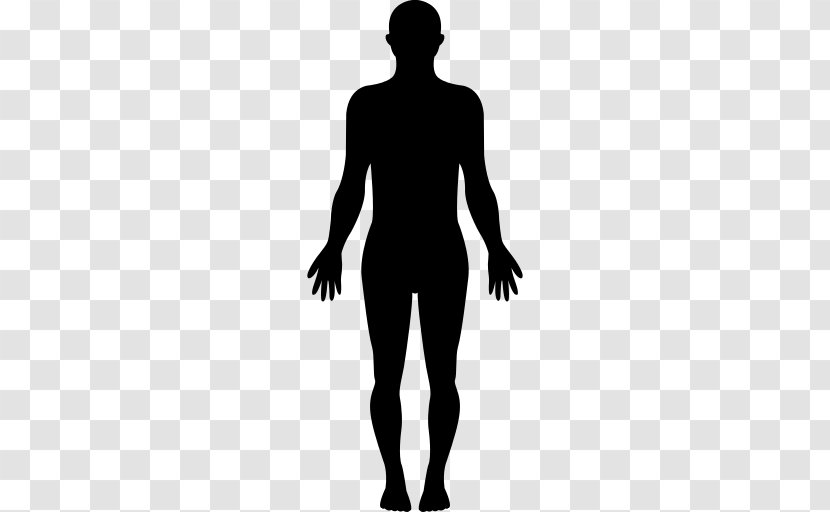 Standing Silhouette Male Joint Human - Back Muscle Transparent PNG