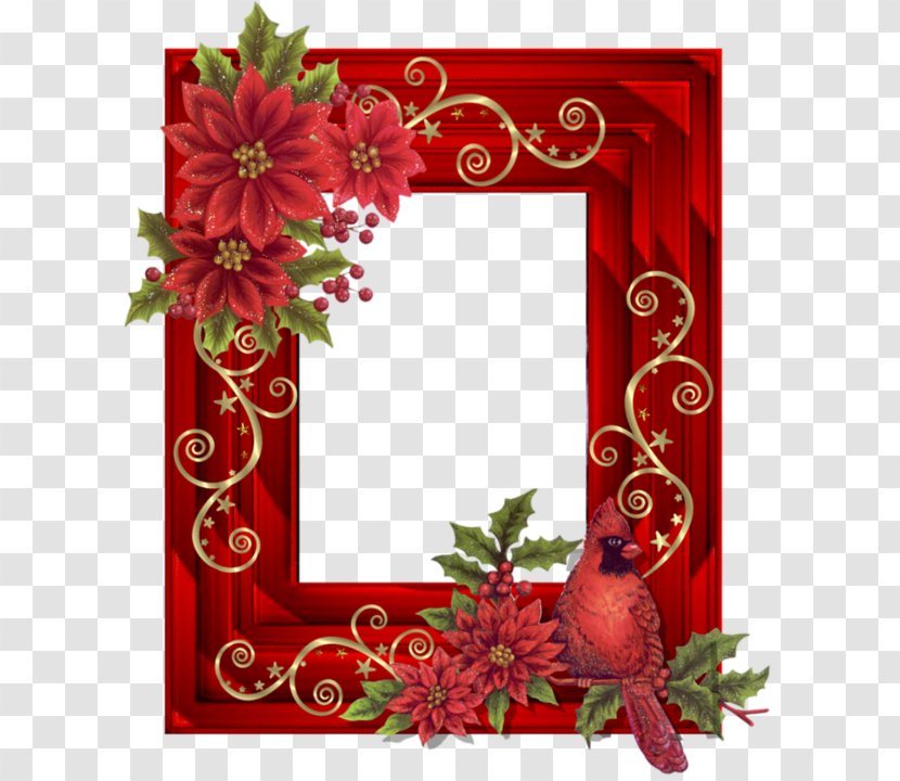 Picture Frames Photography - Flower - Petal Transparent PNG