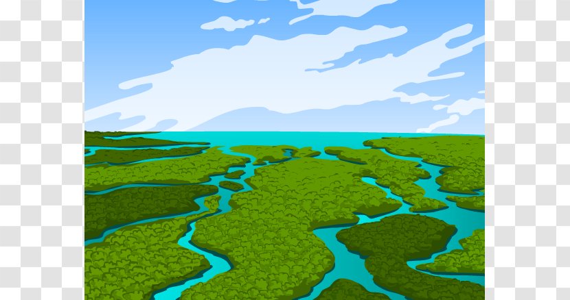 Everglades Pantanal Wetland Ecology Clip Art - Prairie - Cliparts Transparent PNG